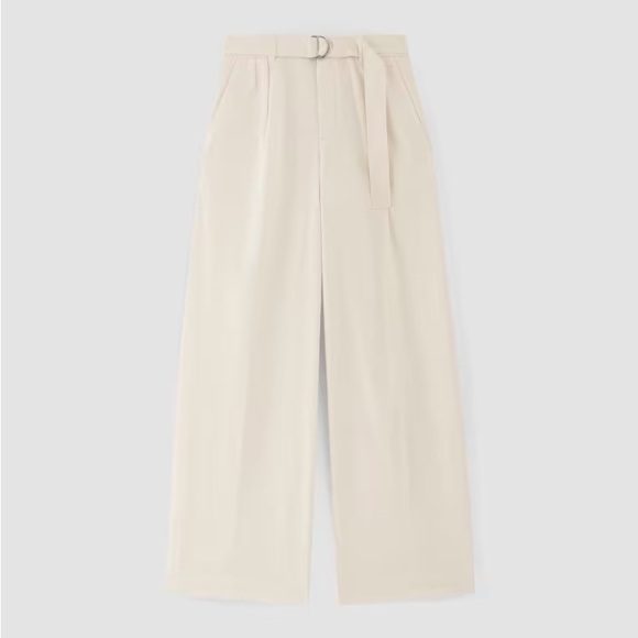 Everlane Pleated Wide-Leg Chino - Picture 6 of 7